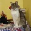 Отзыв от Любовь Назарова